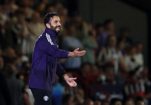 如果你不喜 如果你不喜